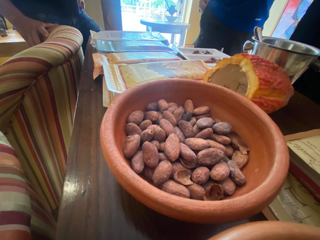 Excursiones de un día desde Guayaquil