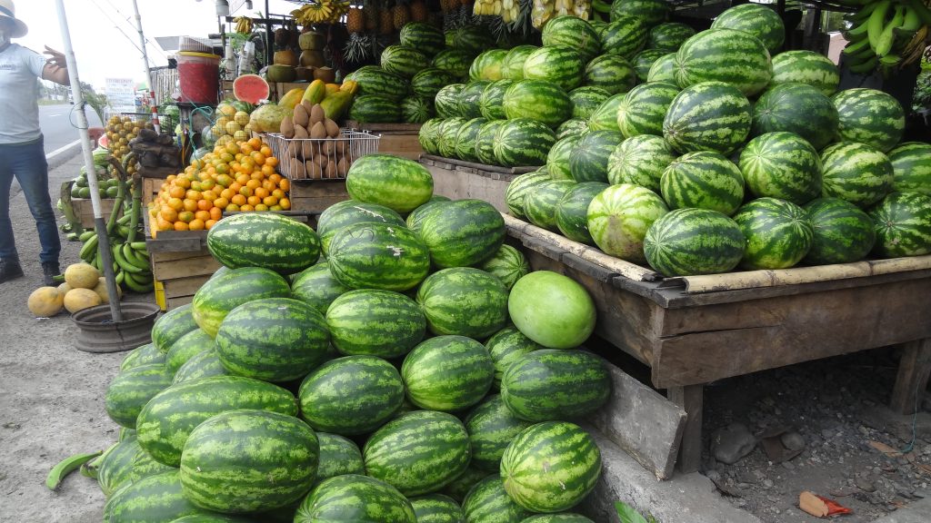 Excursiones de un día desde Guayaquil