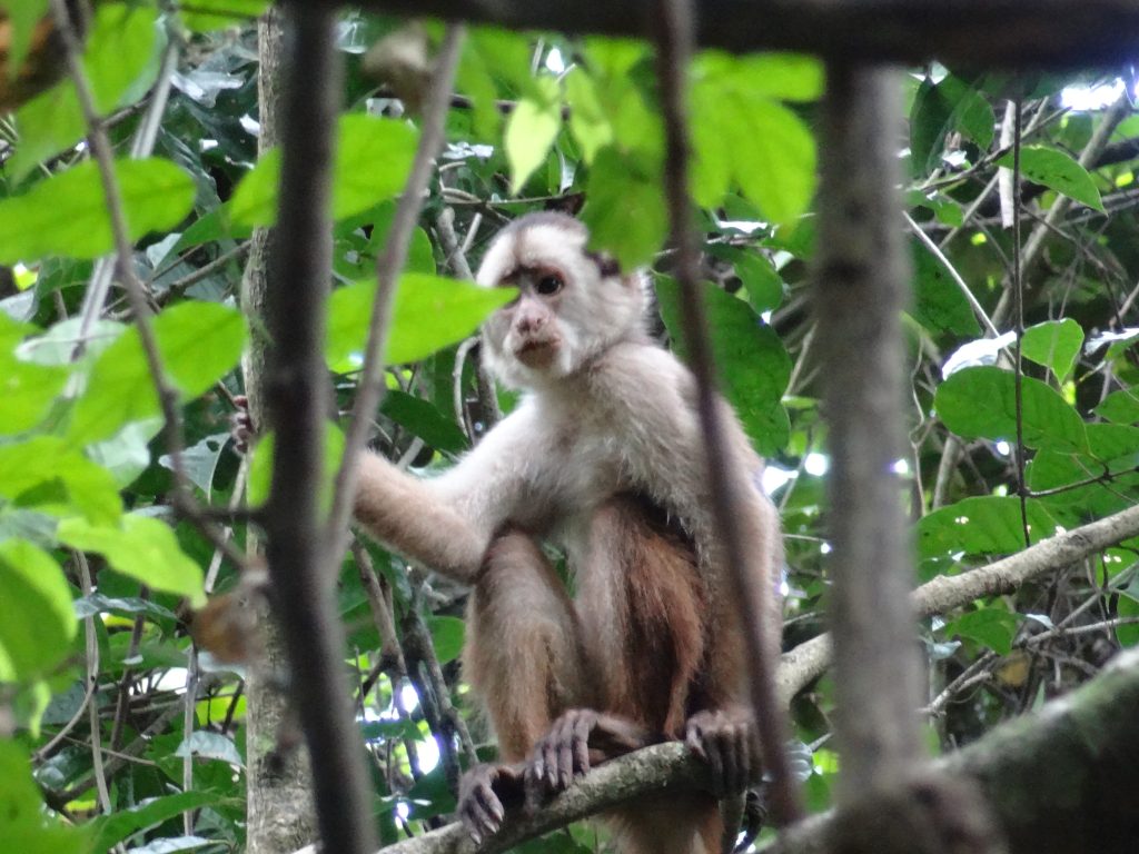 Excursiones de un día desde Guayaquil