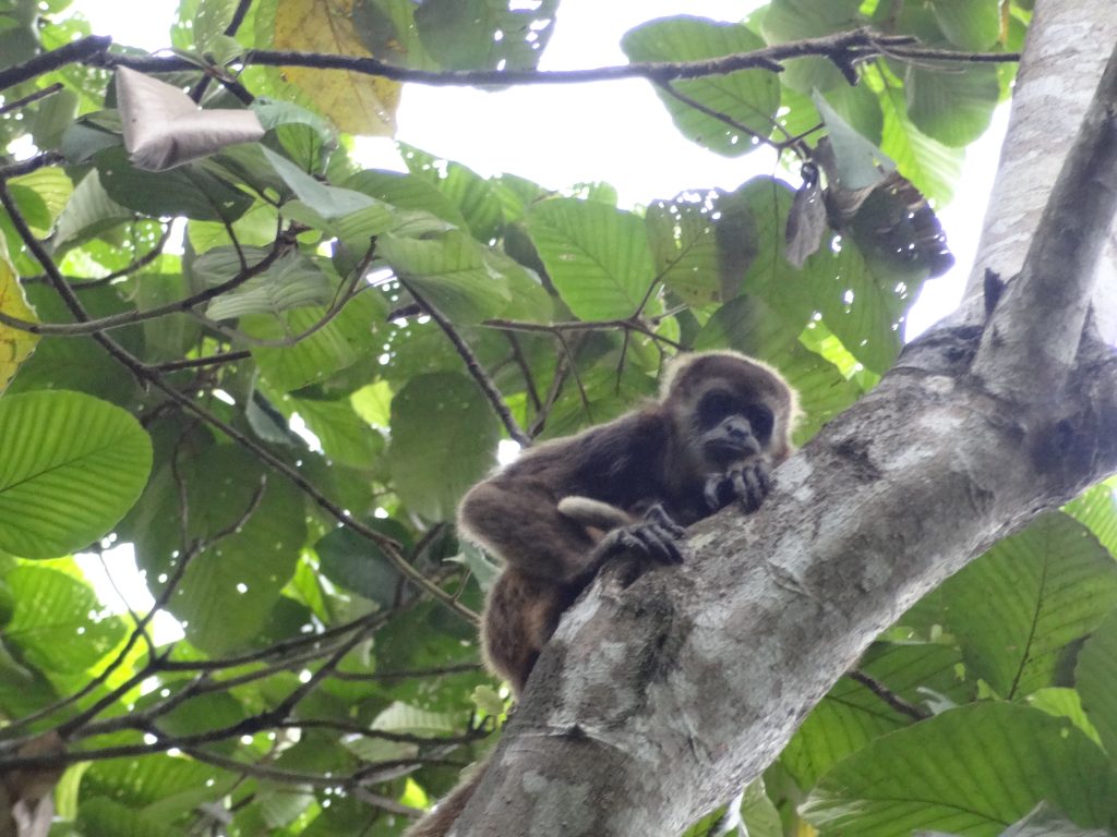 Excursiones de un día desde Guayaquil