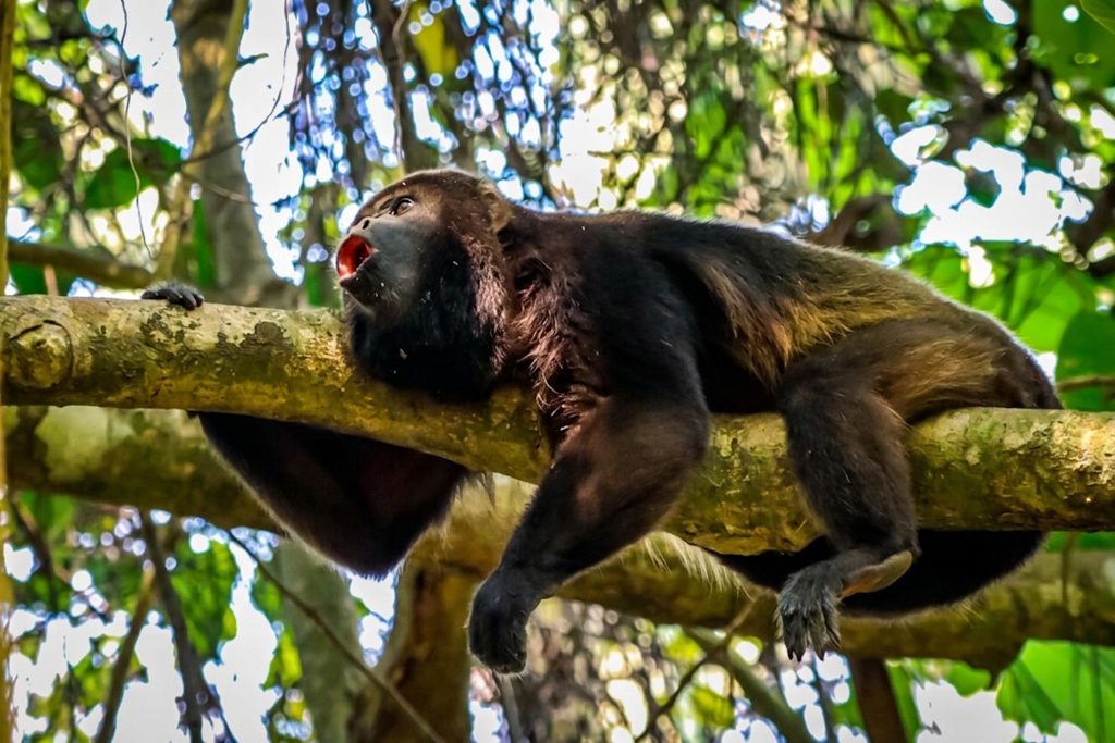 Excursiones de un día desde Guayaquil